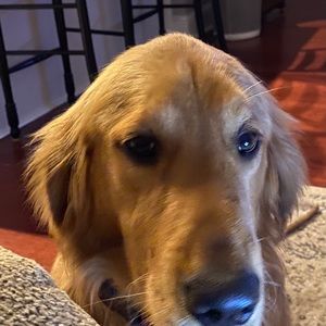 Meet your Posher, Mike